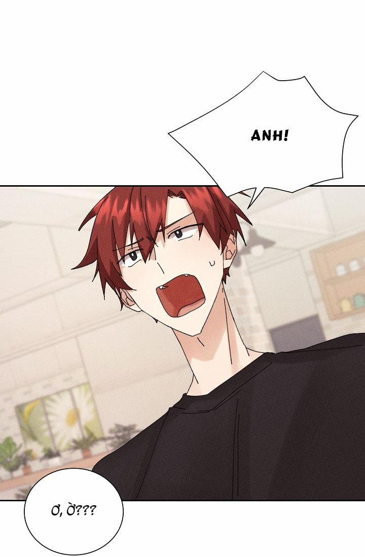 BỘ NHỚ GIẢ DƯỢC 12 trang 54