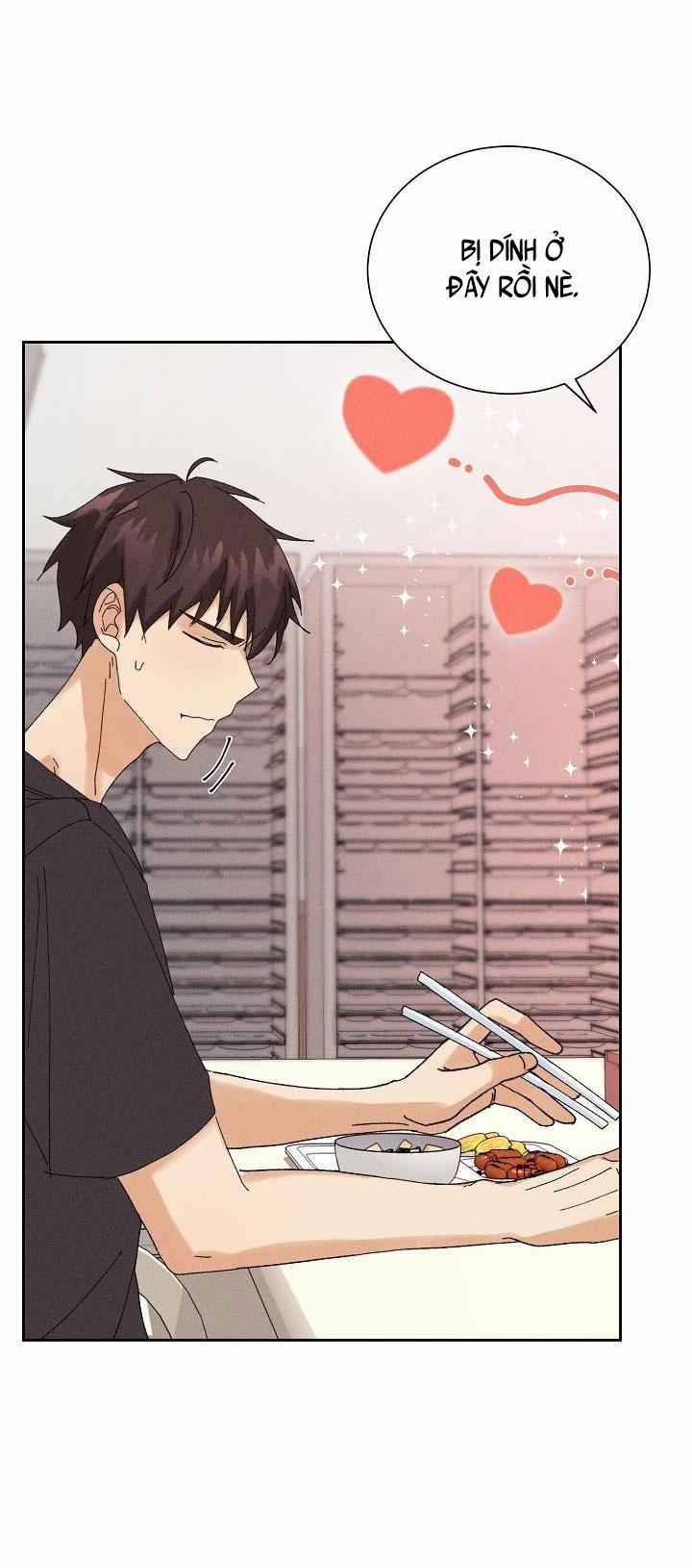 BỘ NHỚ GIẢ DƯỢC 13 trang 13