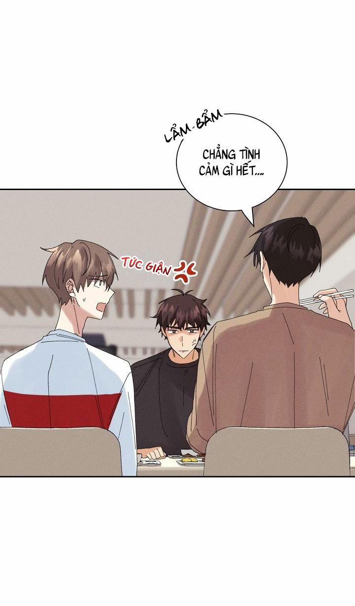 BỘ NHỚ GIẢ DƯỢC 13 trang 16