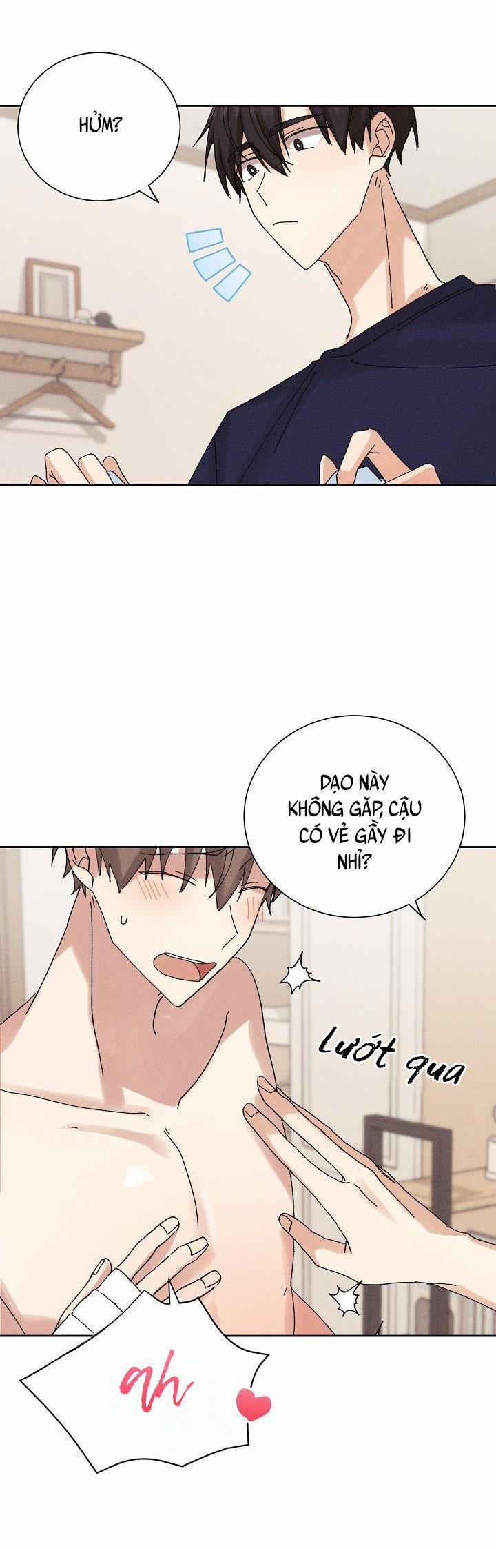 BỘ NHỚ GIẢ DƯỢC 13 trang 27