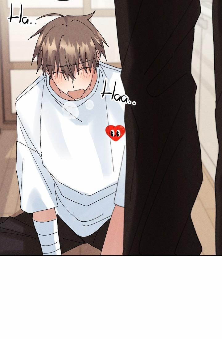 BỘ NHỚ GIẢ DƯỢC 15 trang 28