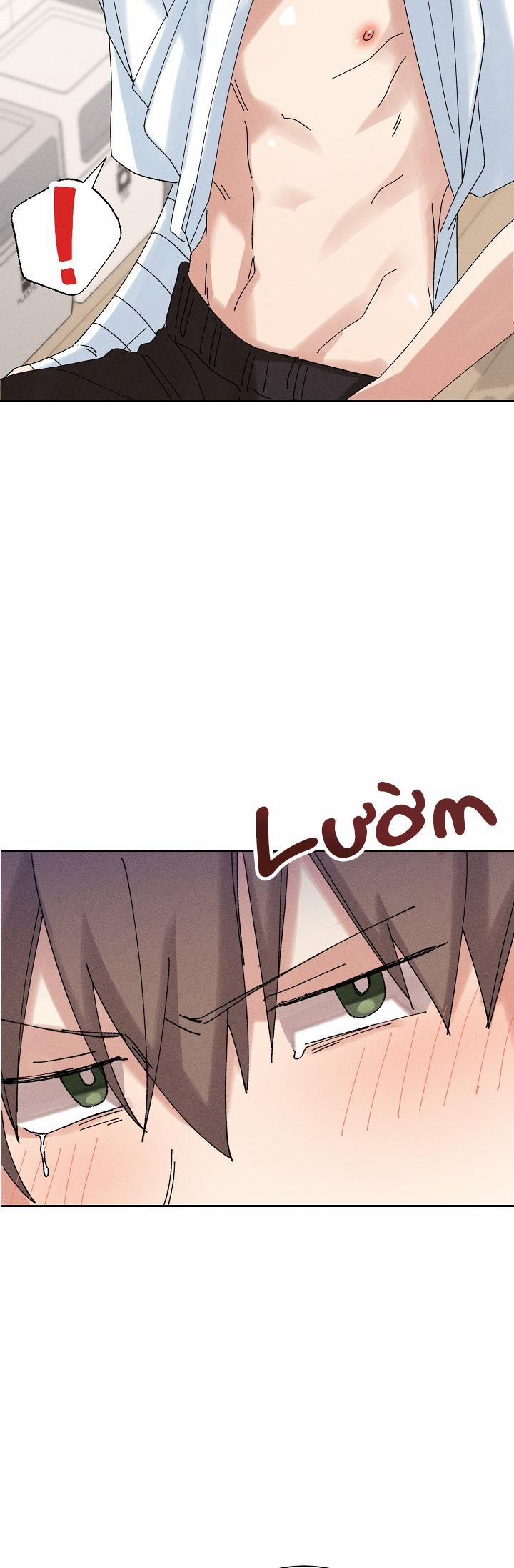 BỘ NHỚ GIẢ DƯỢC 15 trang 31