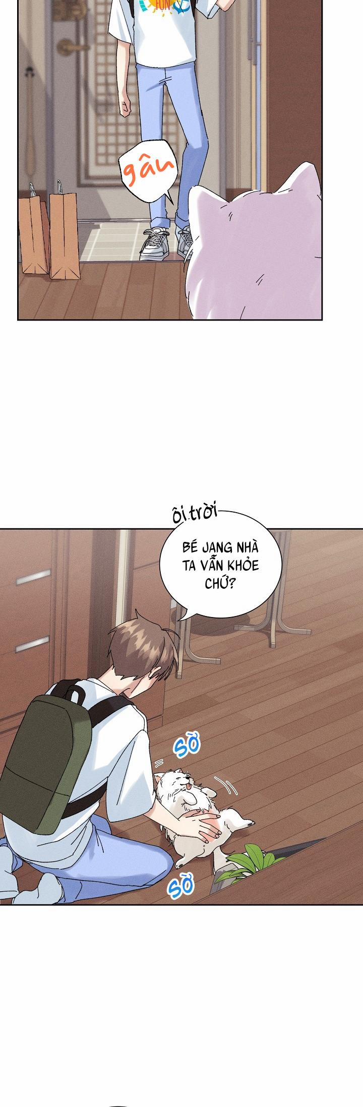 BỘ NHỚ GIẢ DƯỢC 16 trang 8