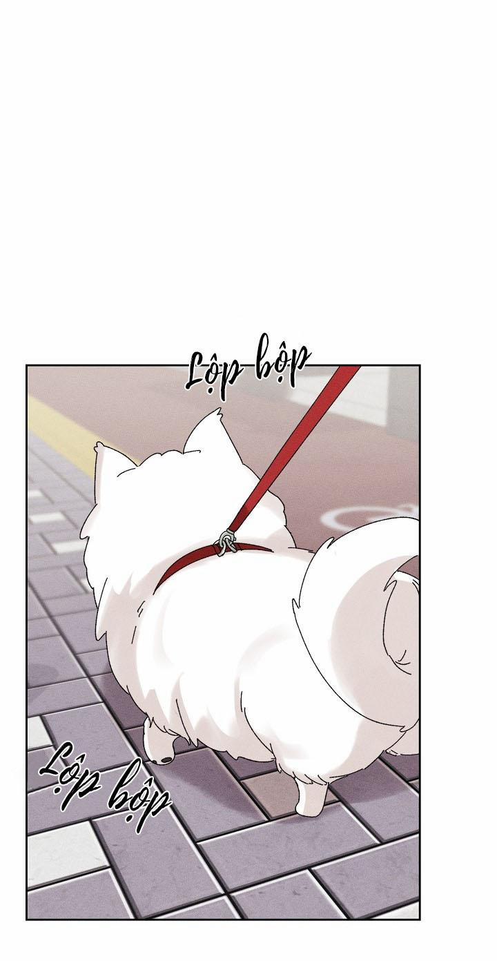 BỘ NHỚ GIẢ DƯỢC 17 trang 53