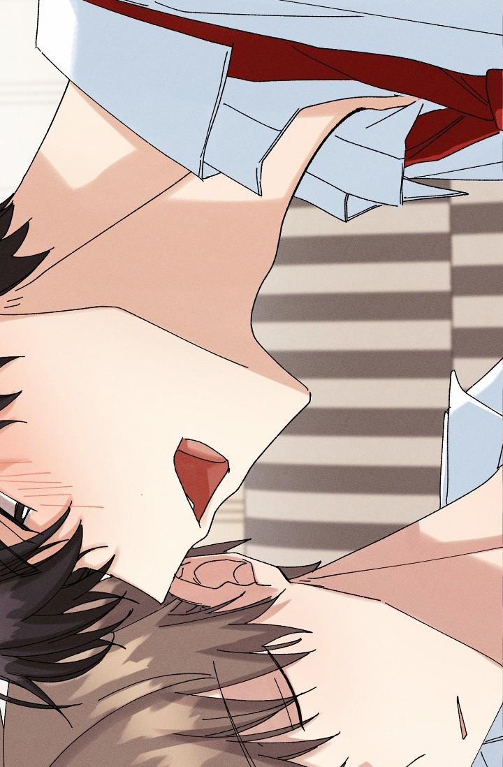 BỘ NHỚ GIẢ DƯỢC 19 trang 81