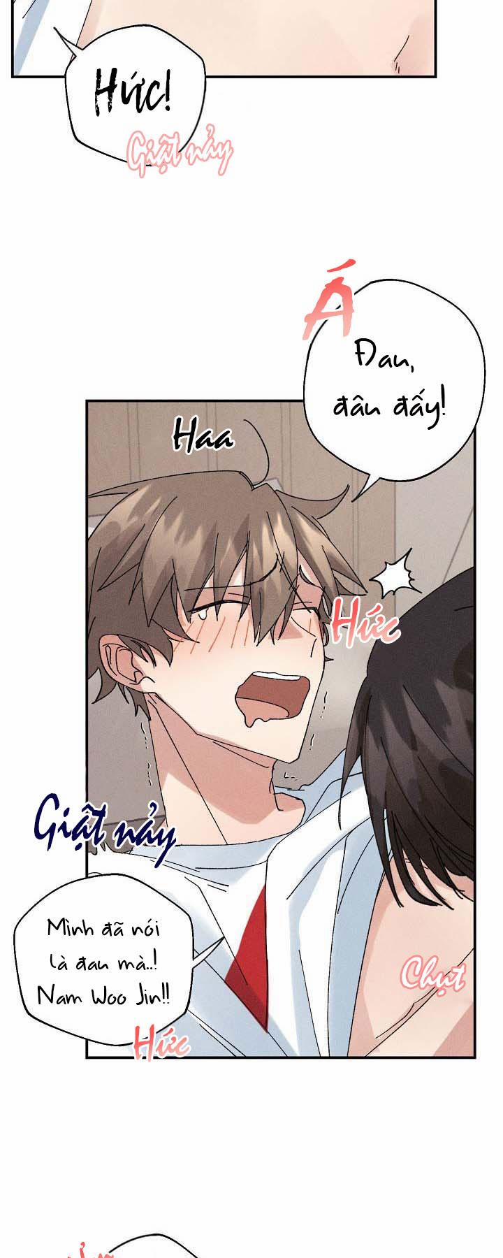 BỘ NHỚ GIẢ DƯỢC 2 trang 33