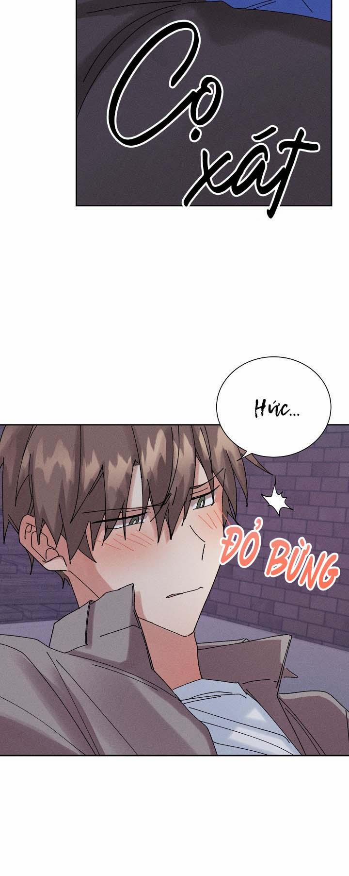 BỘ NHỚ GIẢ DƯỢC 20 trang 39