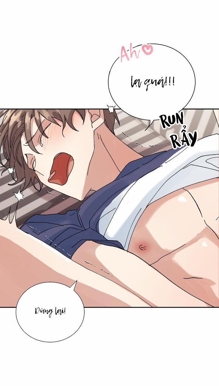 BỘ NHỚ GIẢ DƯỢC 21 trang 32