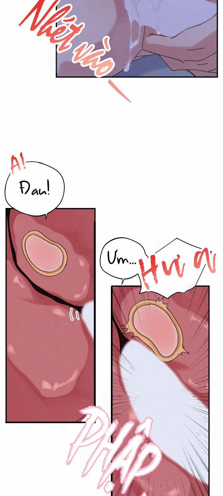 BỘ NHỚ GIẢ DƯỢC 5 trang 17