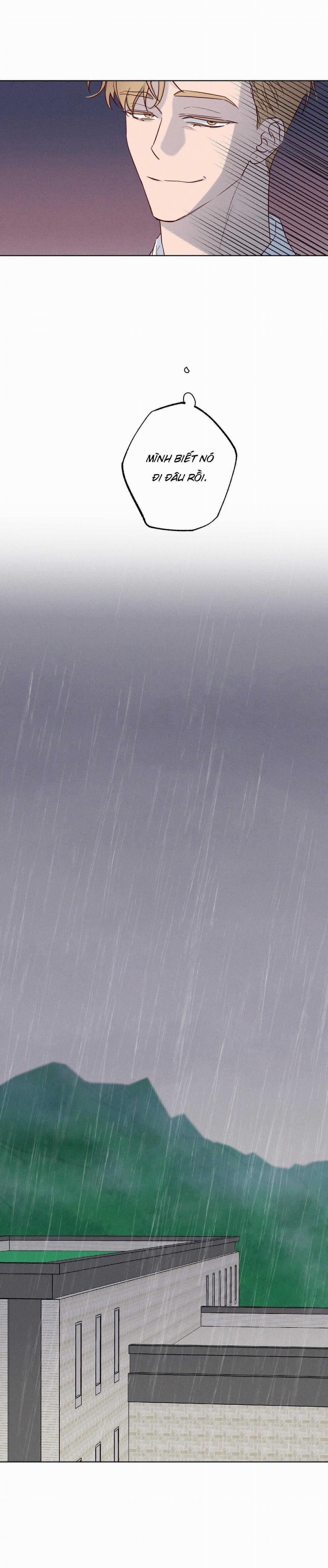 BỜ SÓNG VỖ 12 trang 12