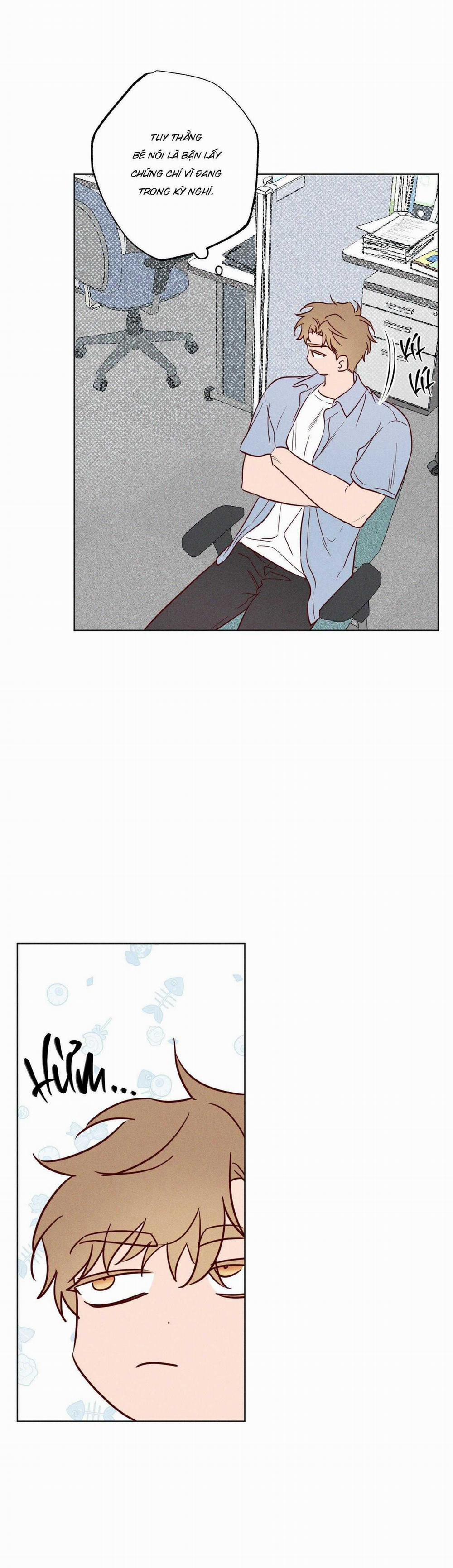 BỜ SÓNG VỖ 14 trang 19