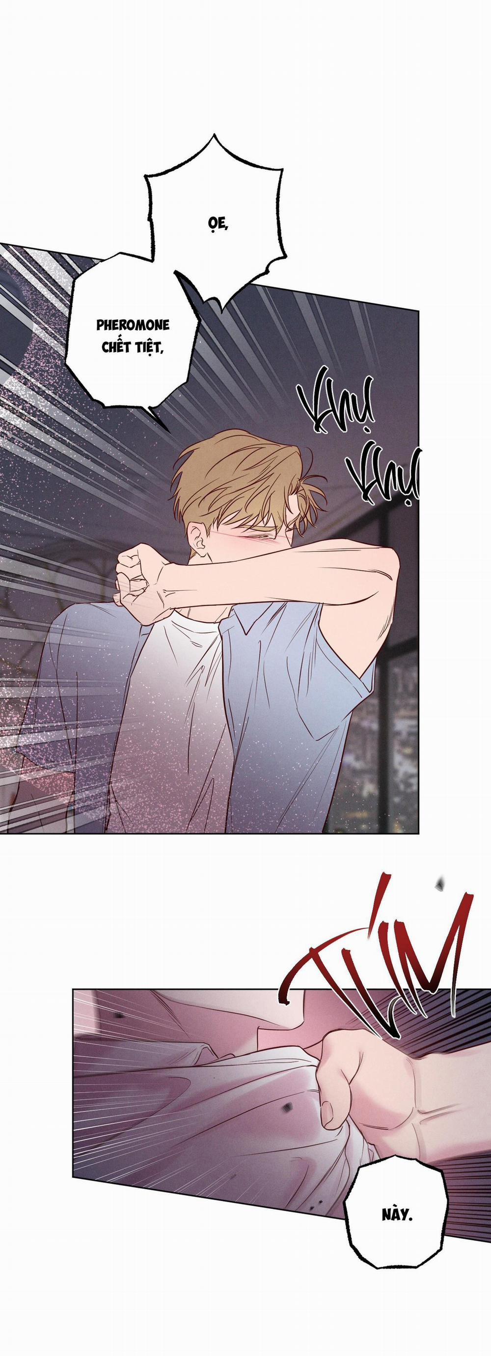 BỜ SÓNG VỖ 16 trang 8