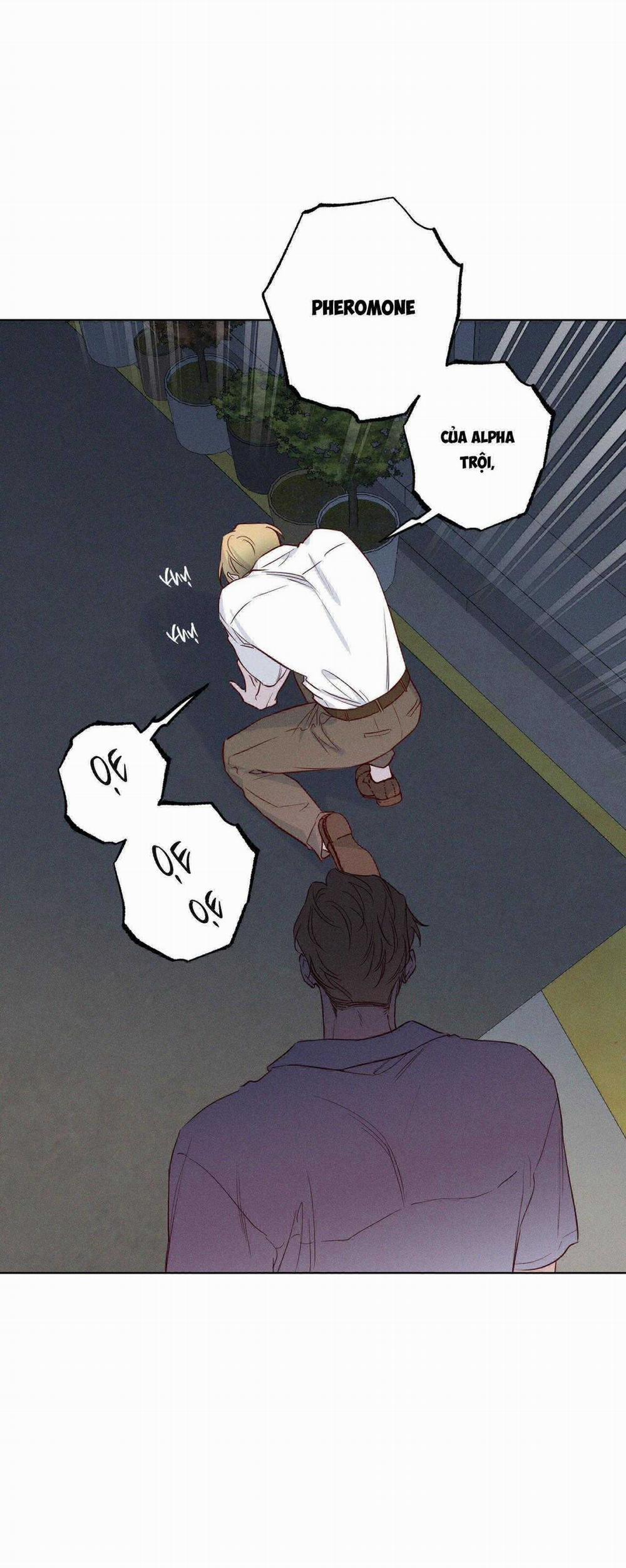 BỜ SÓNG VỖ 17 trang 5