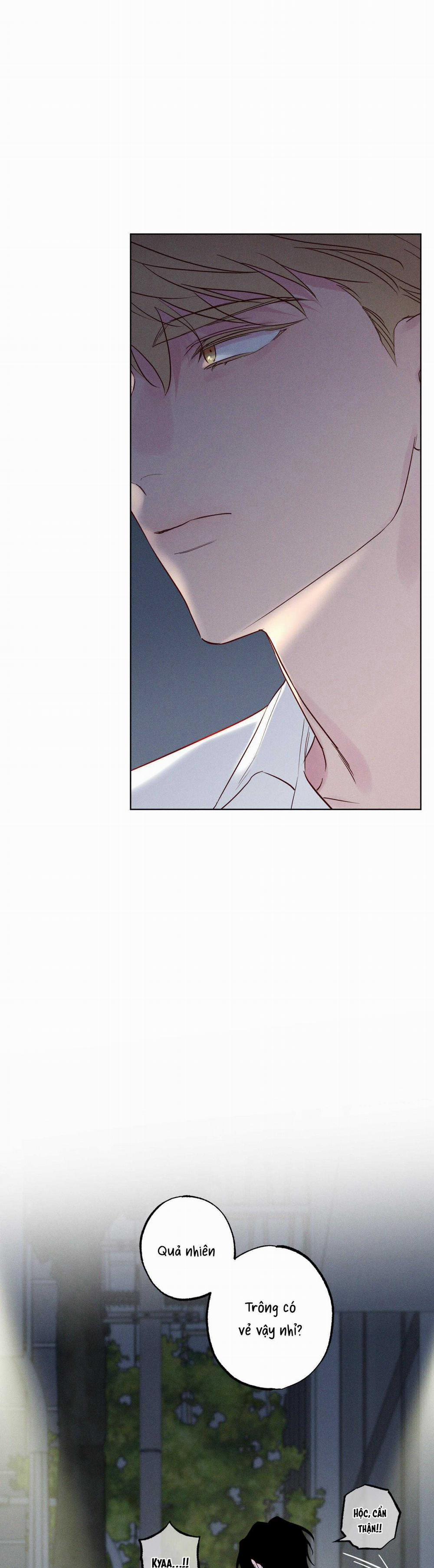 BỜ SÓNG VỖ 19 trang 13