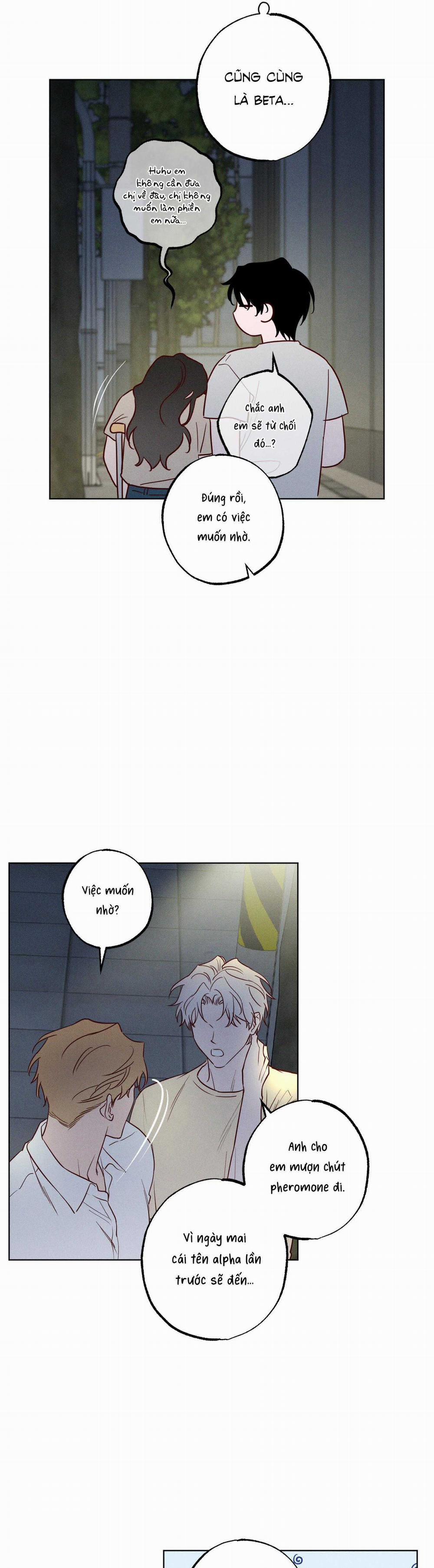 BỜ SÓNG VỖ 19 trang 15