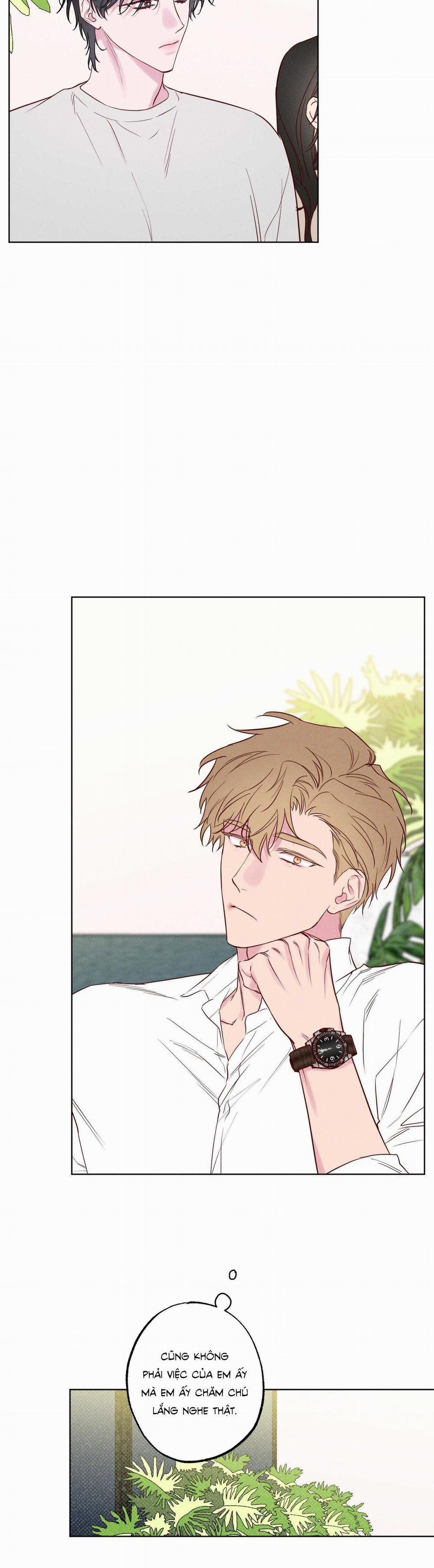 BỜ SÓNG VỖ 19 trang 5