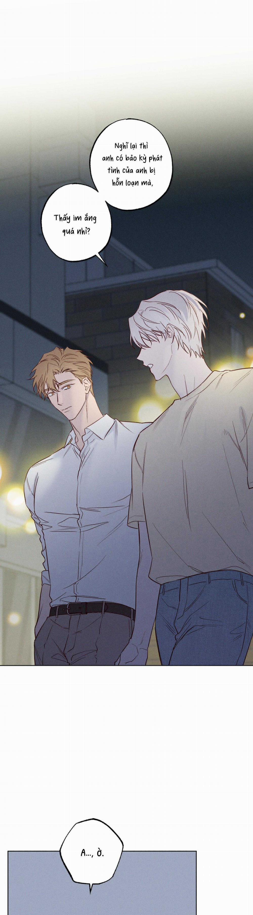 BỜ SÓNG VỖ 19 trang 8