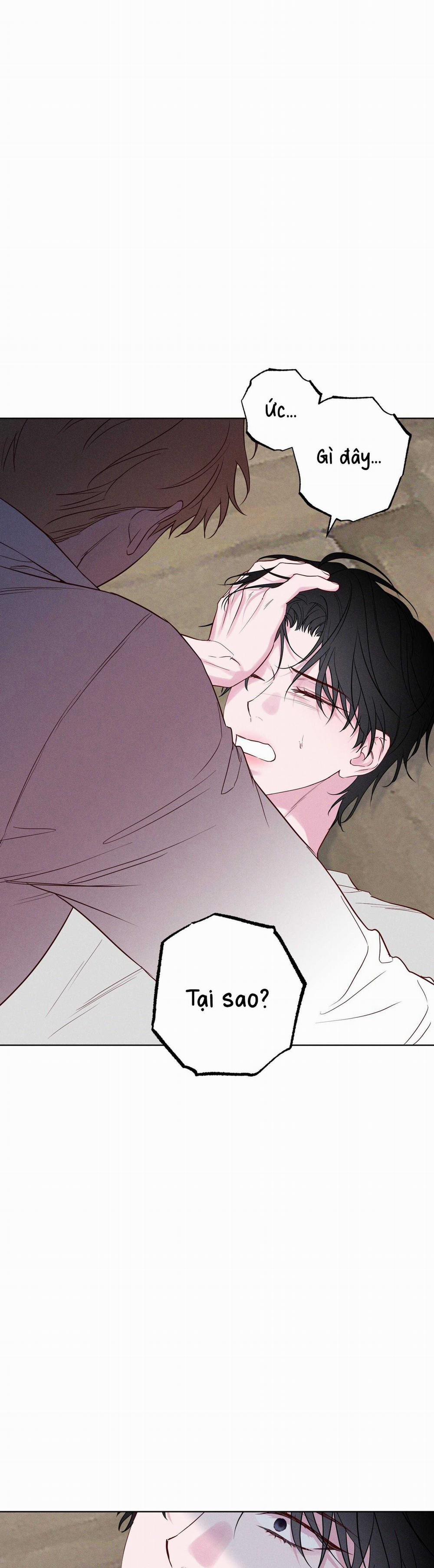 BỜ SÓNG VỖ 20 trang 5