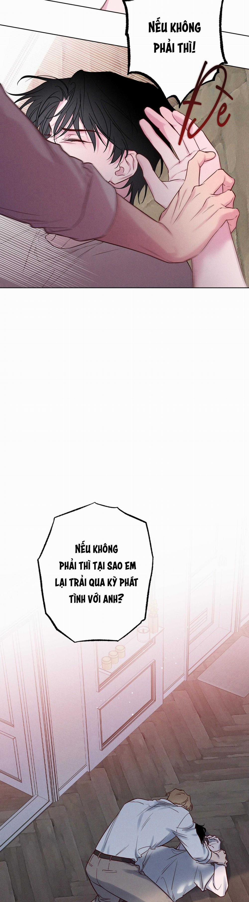 BỜ SÓNG VỖ 20 trang 9