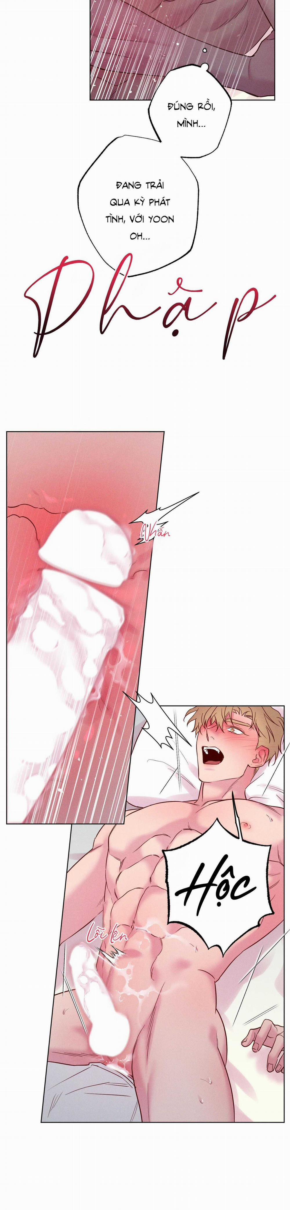 BỜ SÓNG VỖ 23 trang 5