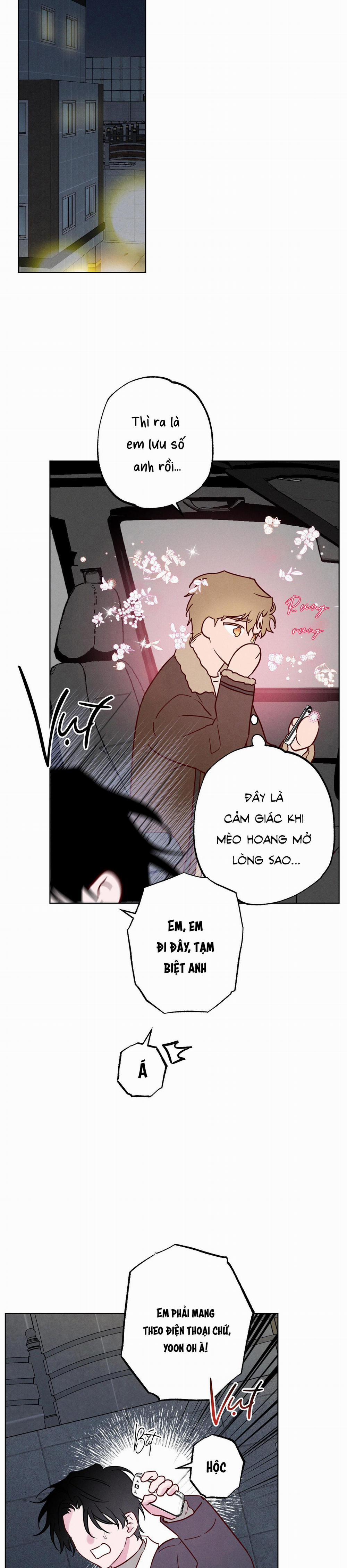 BỜ SÓNG VỖ 24 trang 11