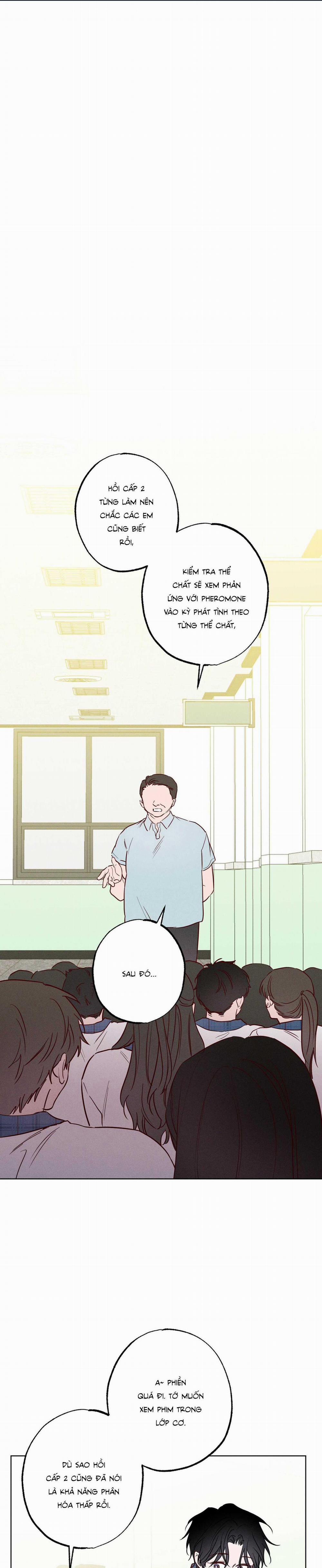 BỜ SÓNG VỖ 26 trang 0