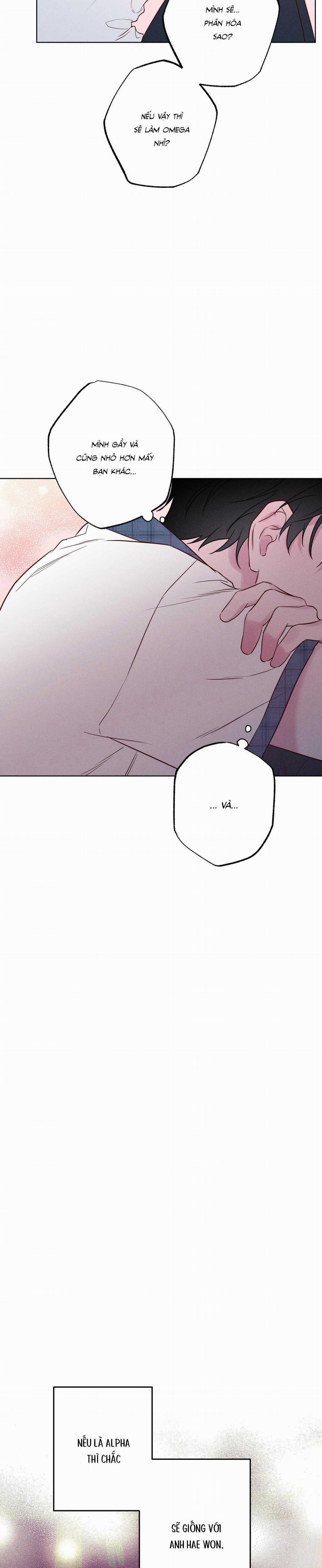 BỜ SÓNG VỖ 26 trang 3