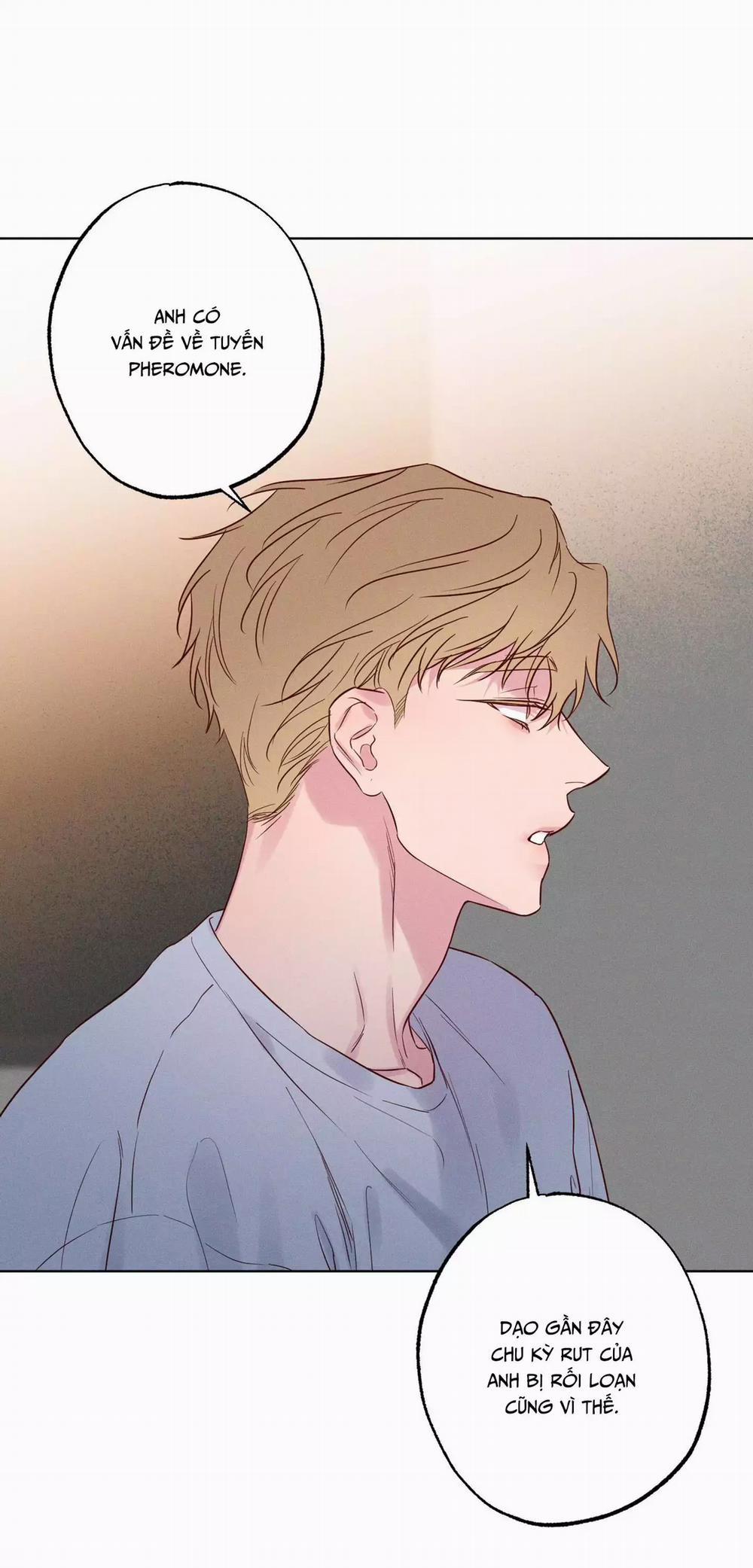 BỜ SÓNG VỖ 28 trang 58