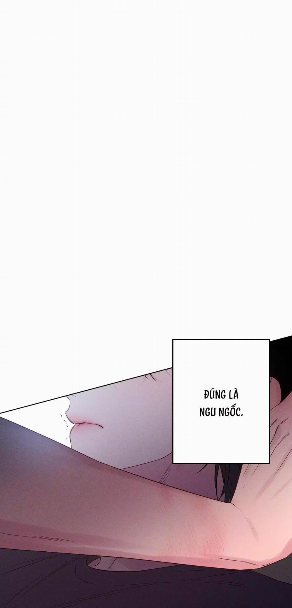 BỜ SÓNG VỖ 30 trang 2