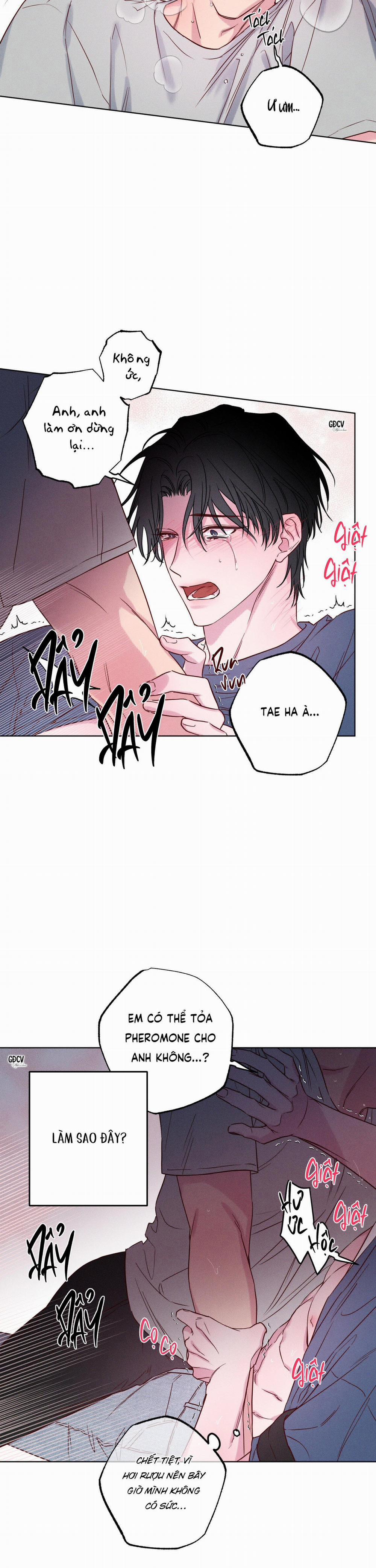 BỜ SÓNG VỖ 5 trang 12