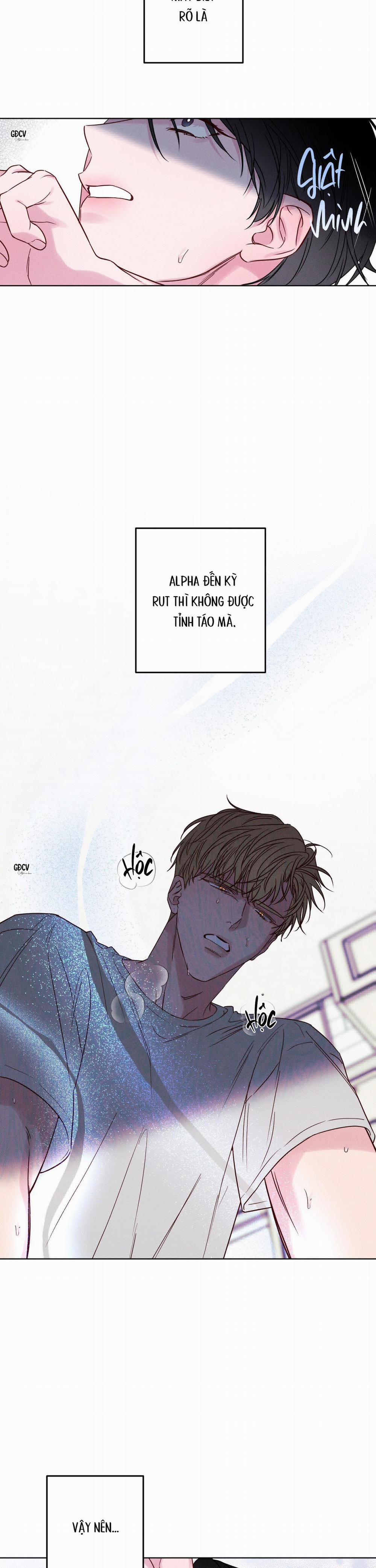 BỜ SÓNG VỖ 5 trang 9