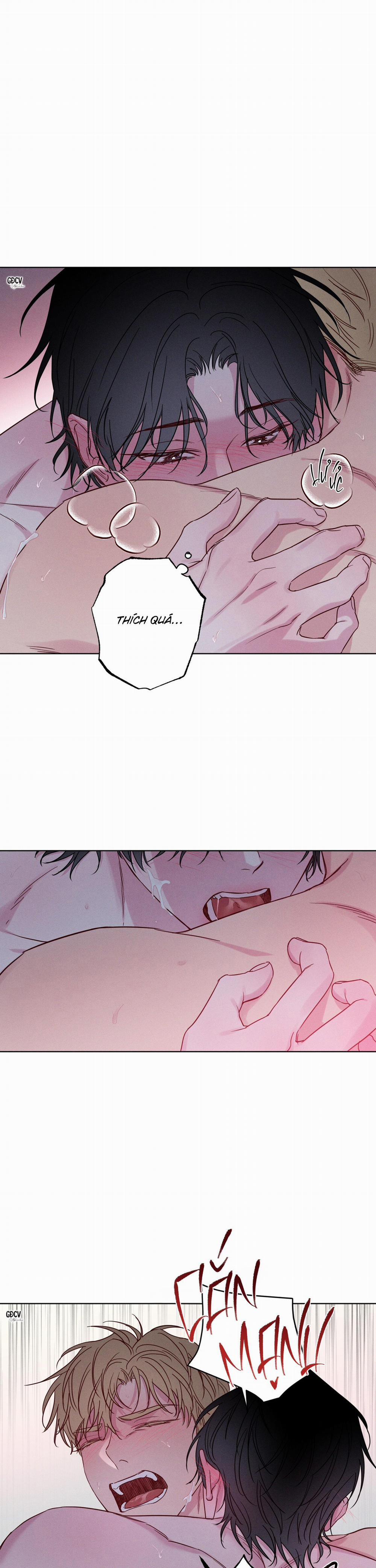 BỜ SÓNG VỖ 7 trang 3