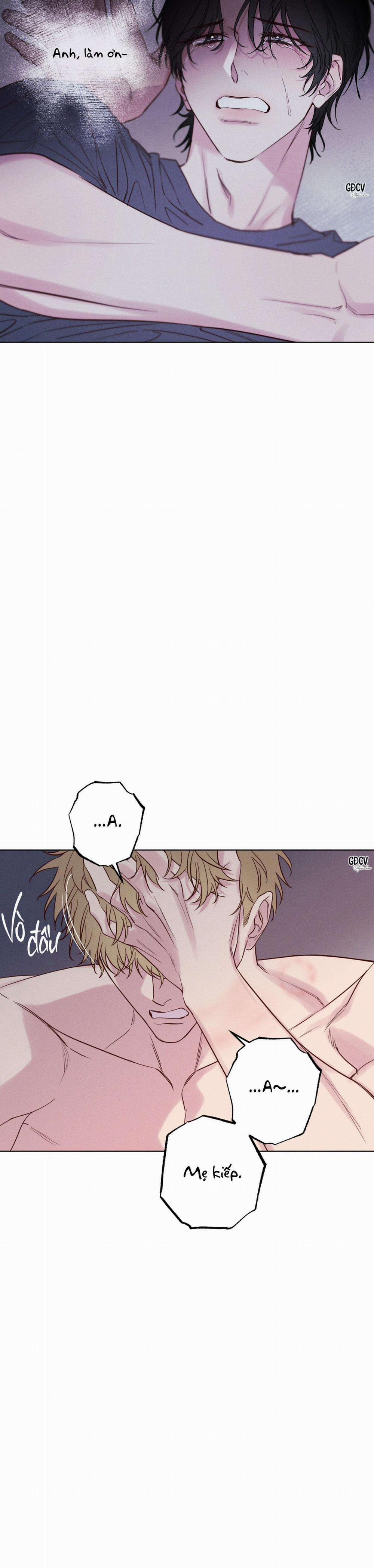 BỜ SÓNG VỖ 8 trang 13