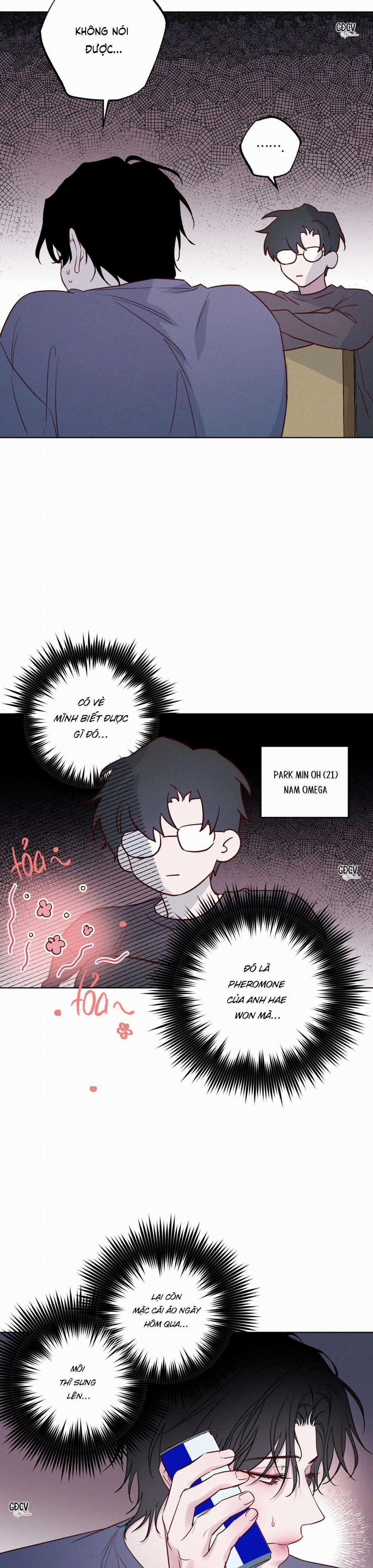 BỜ SÓNG VỖ 8 trang 16