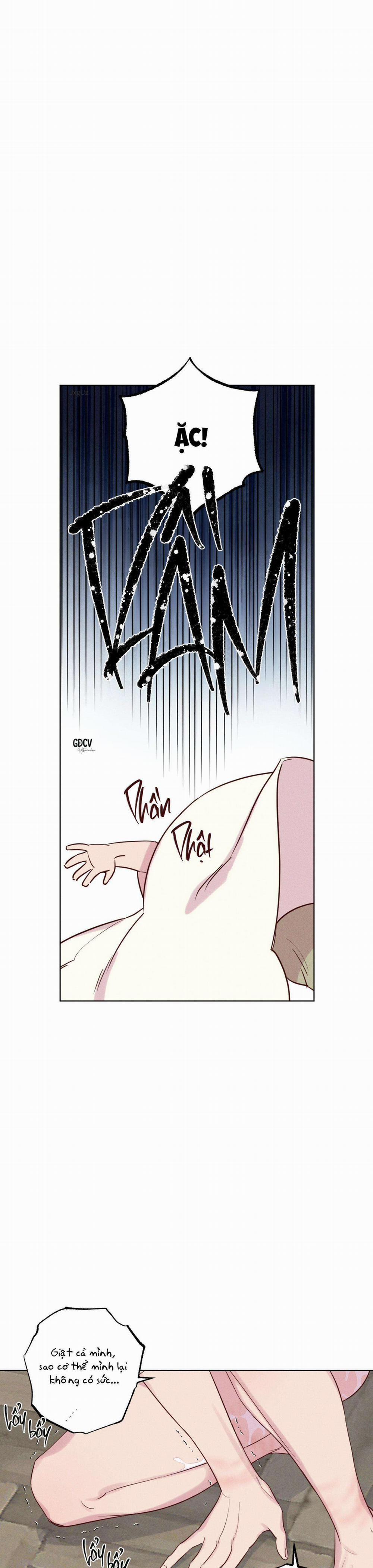 BỜ SÓNG VỖ 8 trang 3