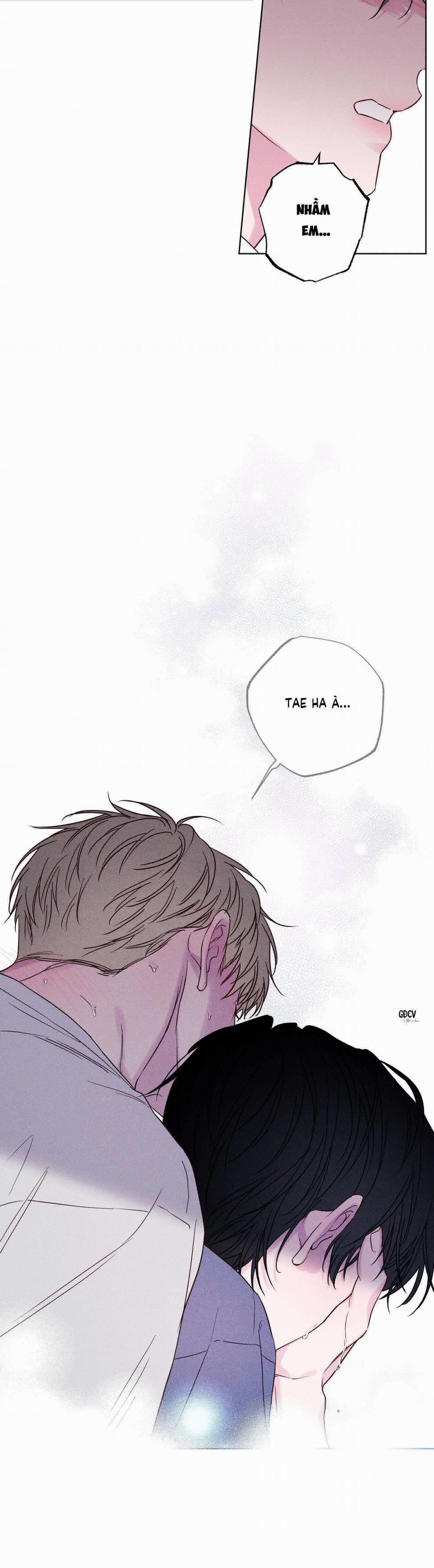 BỜ SÓNG VỖ 9 trang 19