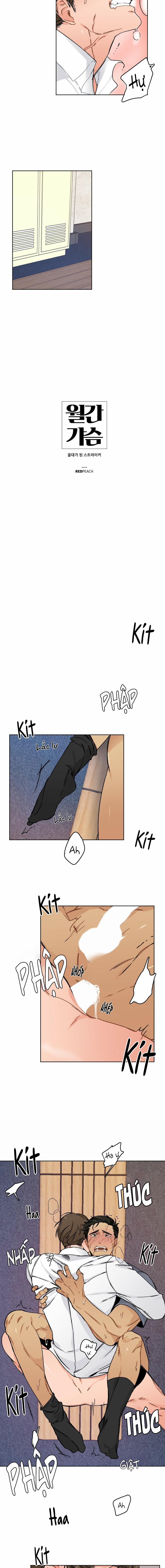 BỘ SƯU TẬP CIU TO-NGỰC BỰ CỦA NHÀ SẸC 12 trang 1