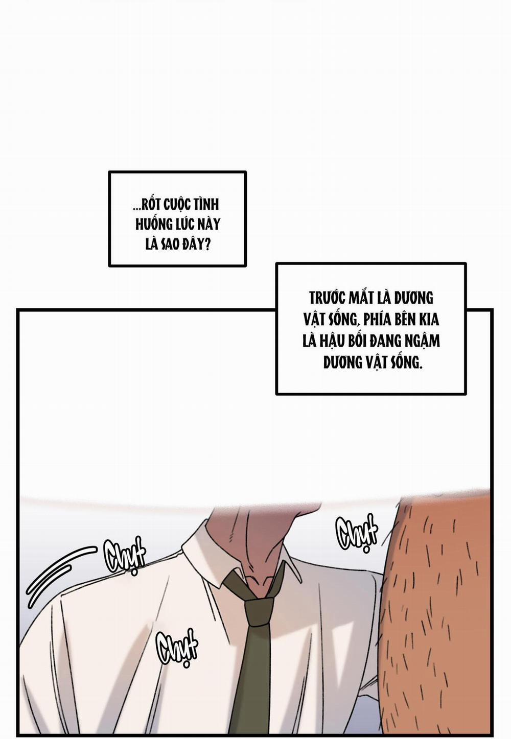 BỘ SƯU TẬP CIU TO-NGỰC BỰ CỦA NHÀ SẸC 9 trang 13