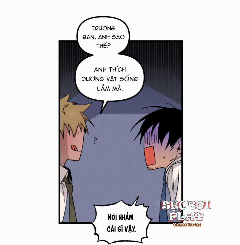 BỘ SƯU TẬP CIU TO-NGỰC BỰ CỦA NHÀ SẸC 9 trang 17