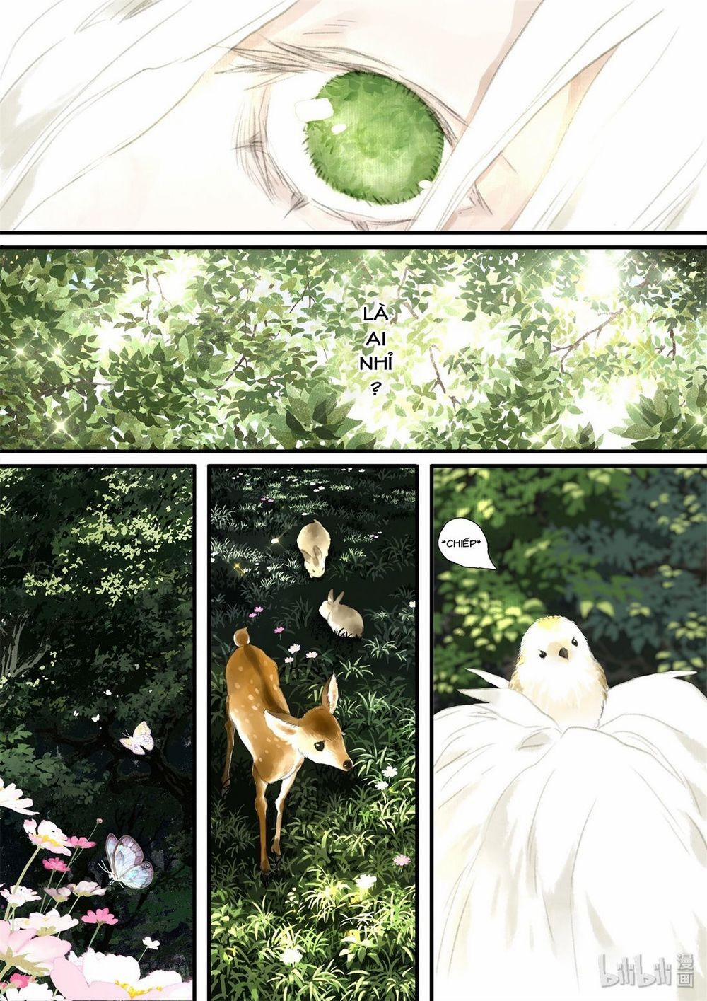 Bộ Thiên Ca 41 trang 11