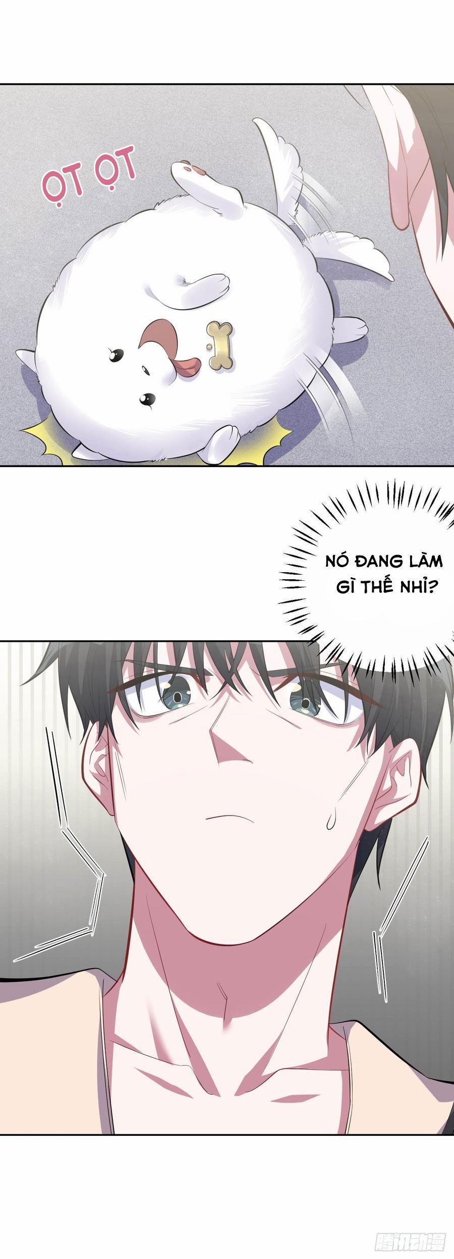 Bố Vợ Đại Nhân Là Bà Xã 27 trang 14