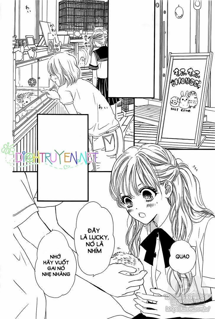 Boku Ni Hana No Melancholy 57 trang 5