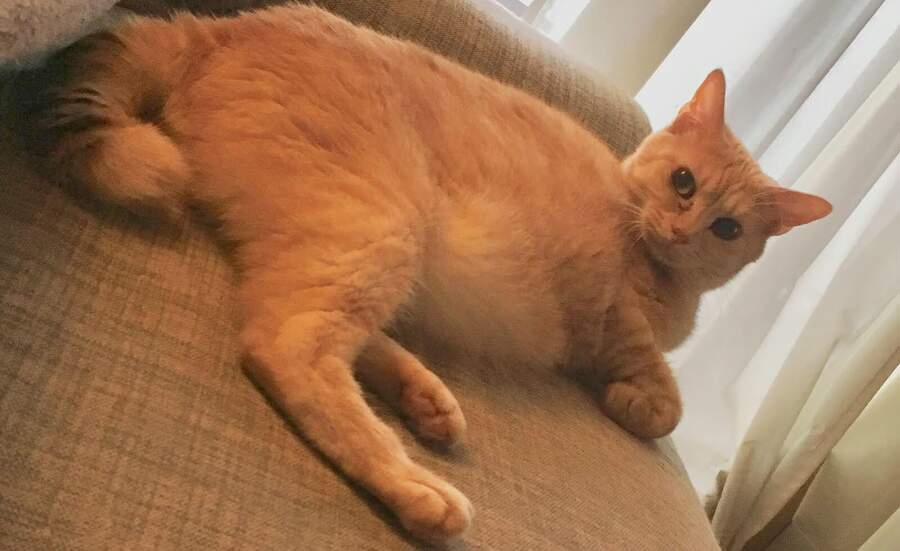 Boku No Kokoro Yabai Yatsu 33 trang 16