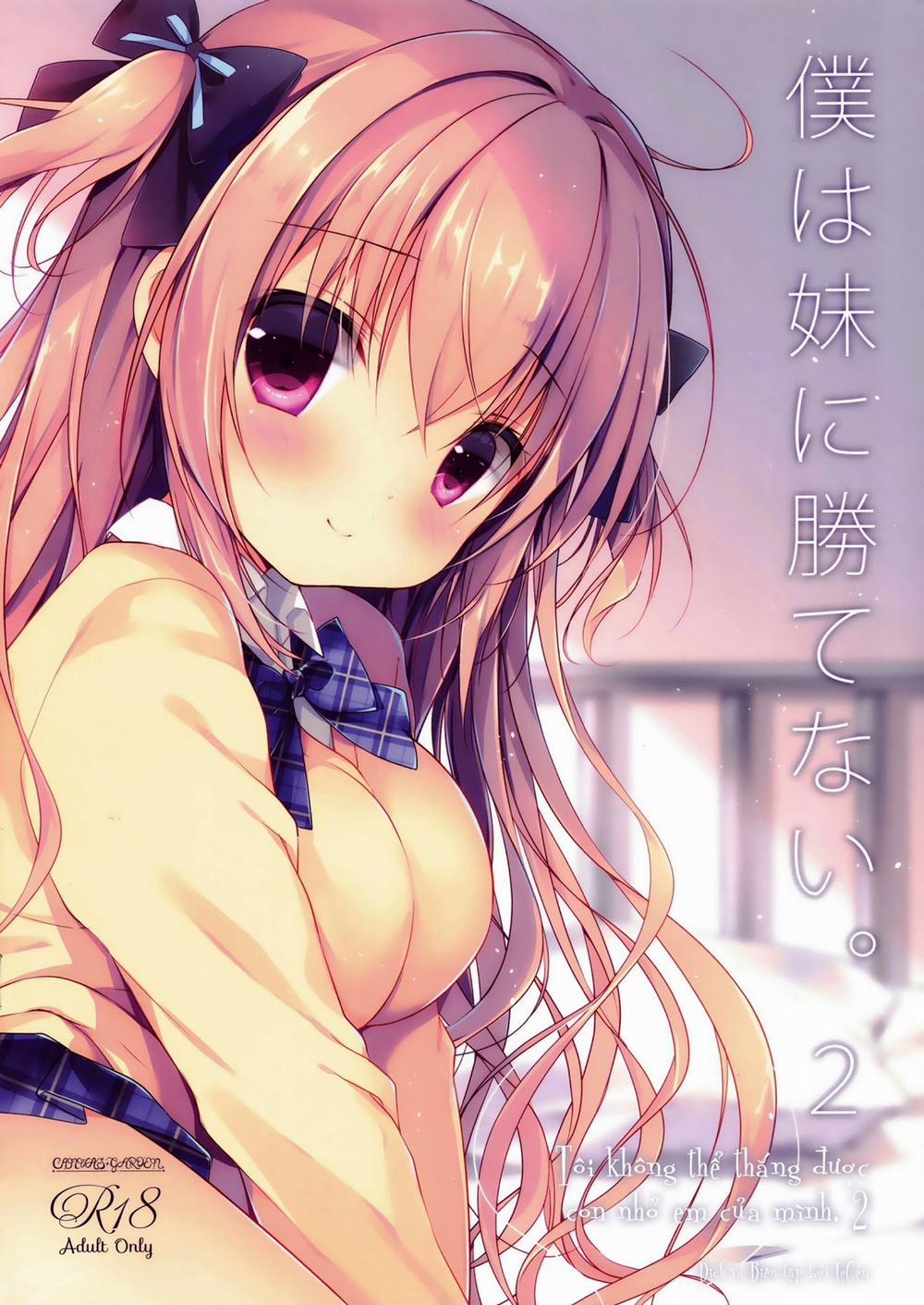 Boku wa Imouto ni Katenai 2 trang 17