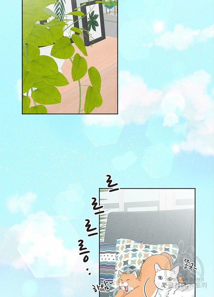 Bốn Cách Cứu Rỗi Một Người Vợ 1.5 trang 2