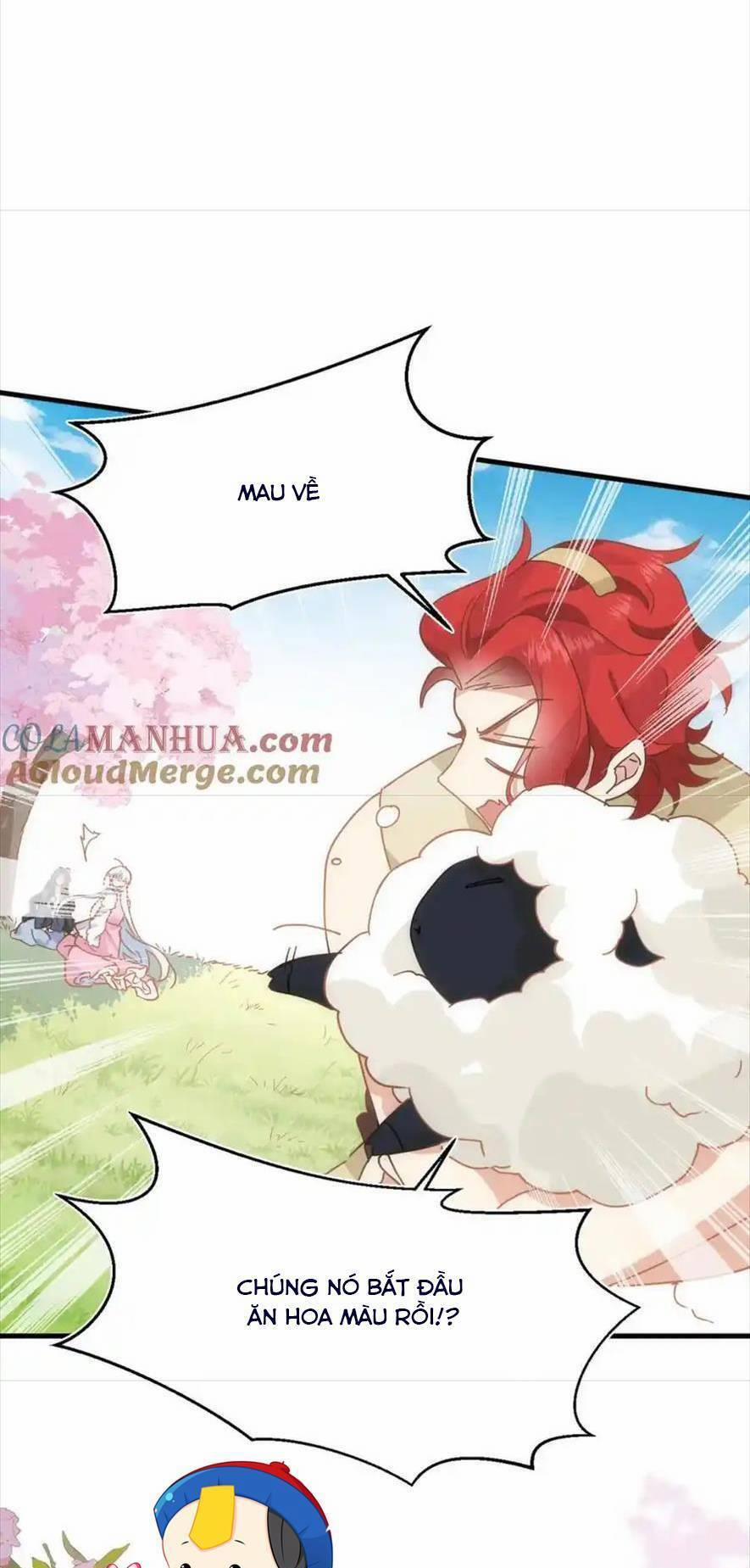 Bổn Công Chúa Không Muốn Được Chiều Chuộng 16 trang 8