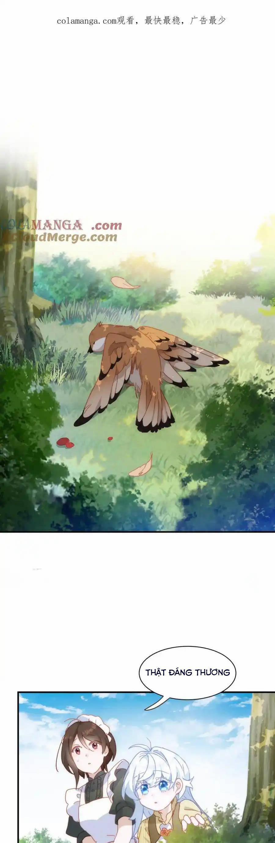 Bổn Công Chúa Không Muốn Được Chiều Chuộng 22 trang 0