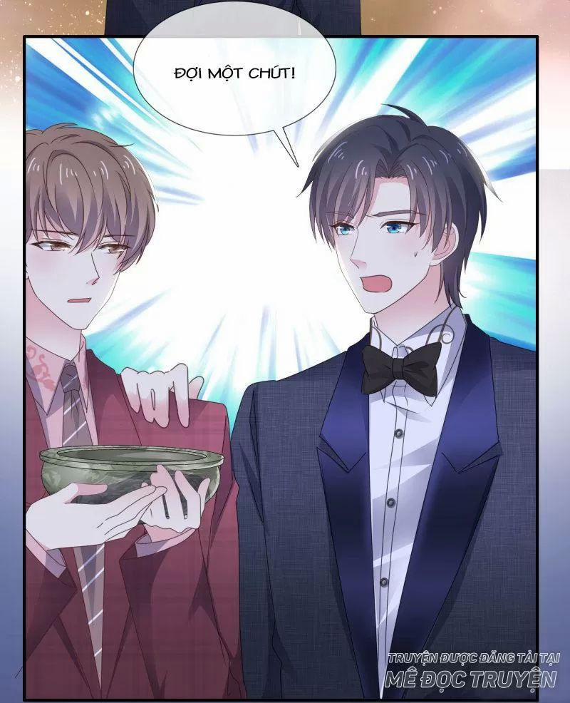 Bồn Nhiên Tinh Động 19 trang 11