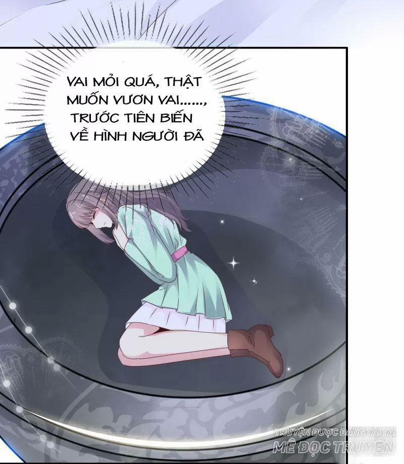 Bồn Nhiên Tinh Động 21 trang 5