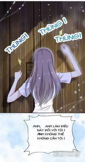 Bồn Nhiên Tinh Động 4 trang 0